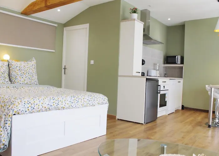 Saint Etienne : Appartement Chateaucreux 40 M2