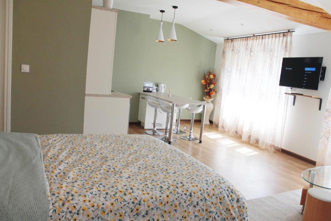 Etienne : Chateaucreux 40 M2 * Saint-Etienne (Loire)