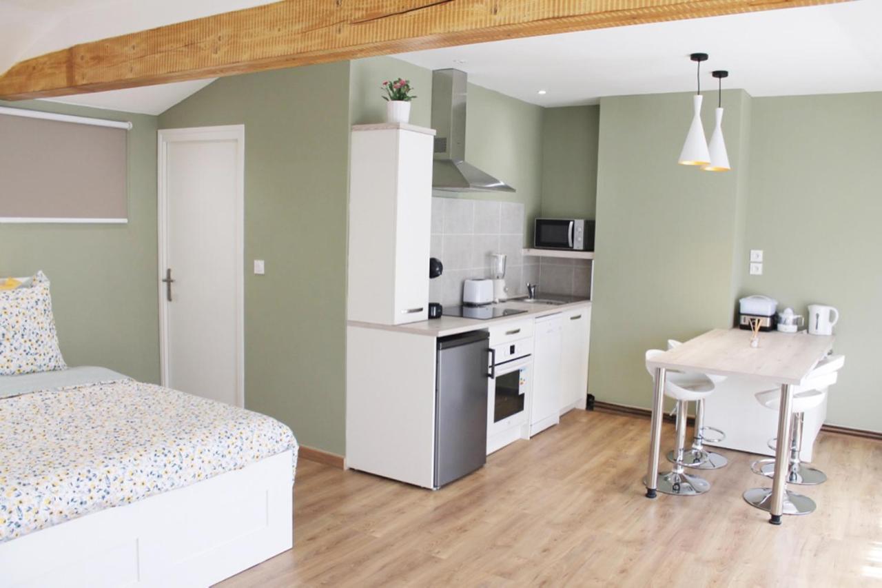 Etienne : Chateaucreux 40 M2 * Saint-Etienne (Loire)